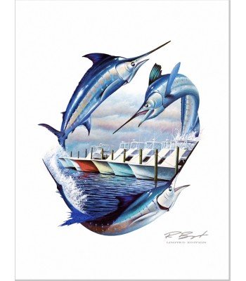 "Grand Slam Hatteras"
